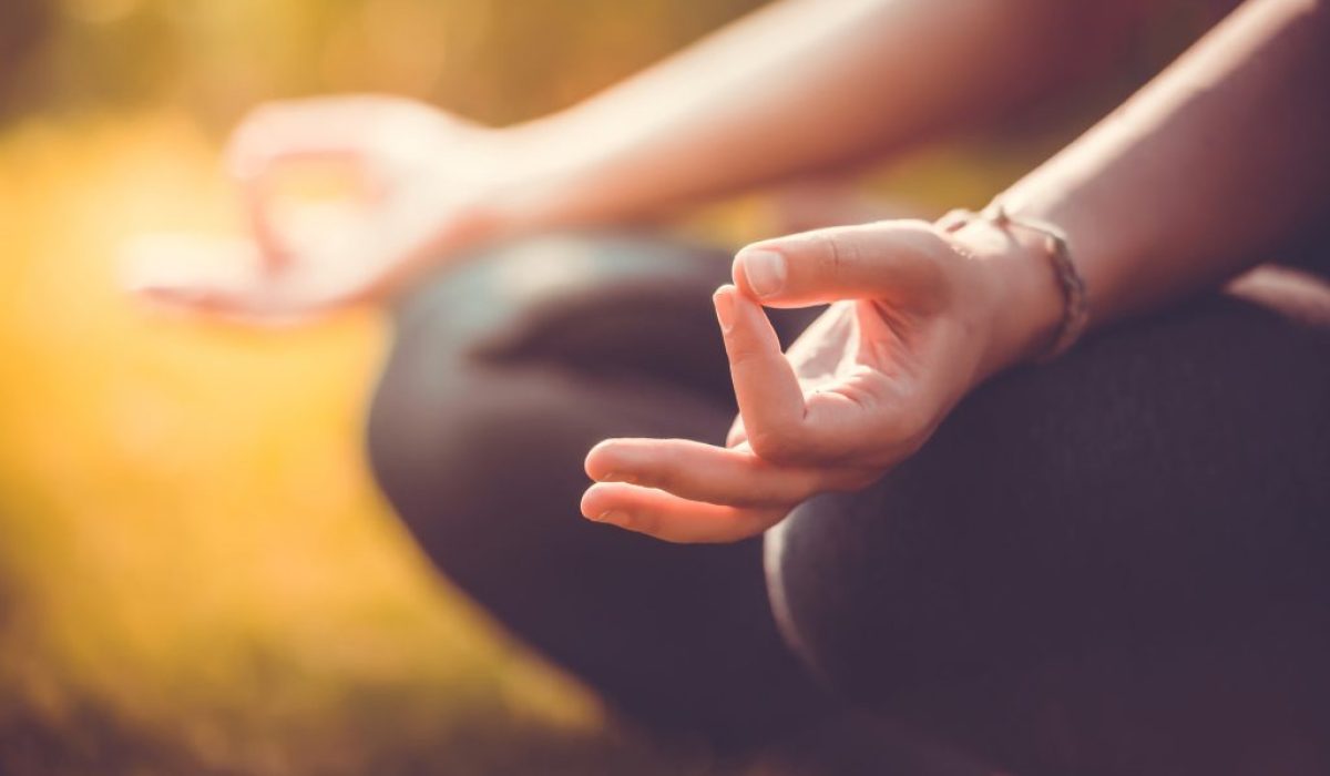 Ayurveda para el Equilibrio Emocional- Cómo curar la ansiedad, la ira y la tristeza