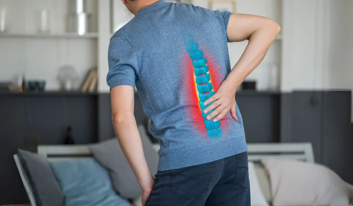 Spinal-Disc